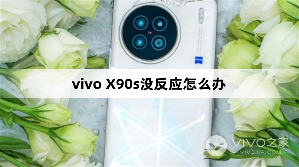vivo X90s没反应的解决方法