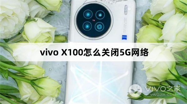 vivo X100如何关闭5G网络