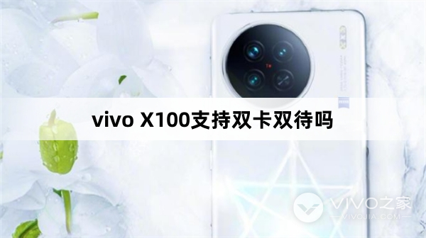 vivo X100是双卡双待手机吗