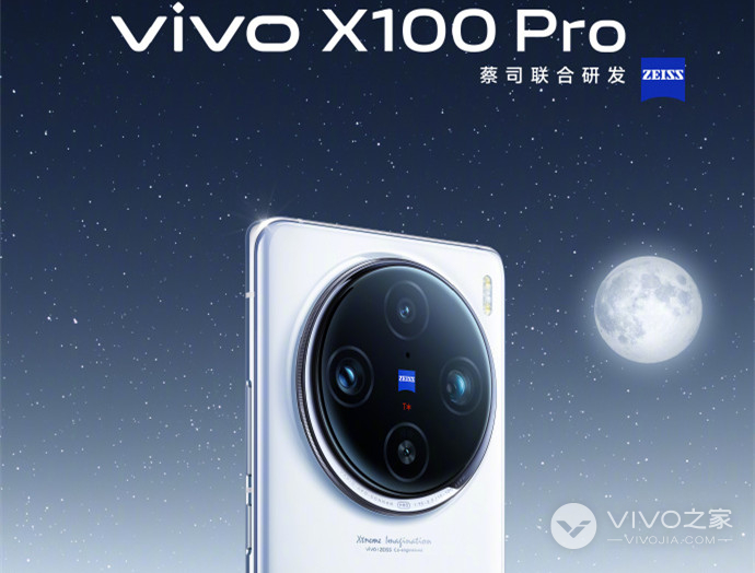 vivo X100 Pro有没有蓝海电池