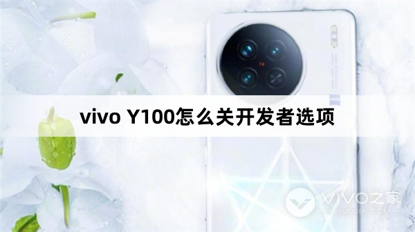 vivo Y100如何关开发者选项